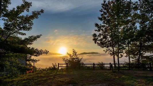 雲海越しの朝日