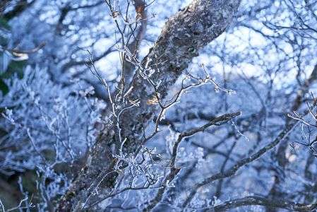 冬の訪れ