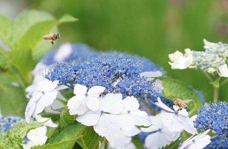 おーい、そっちはどうだい？