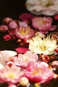 いいタイトルが浮かばない・・・。