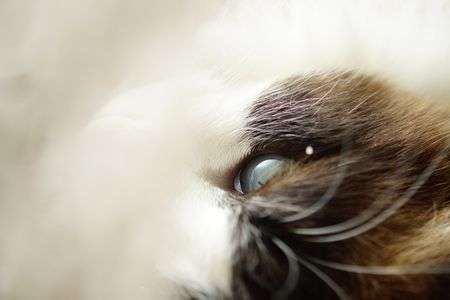 アイドル写真集