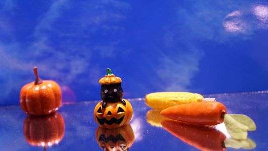 秋を撮りましょう