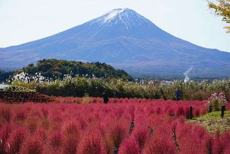 秋のこきやと富士山コラボ#カレンダー2025#