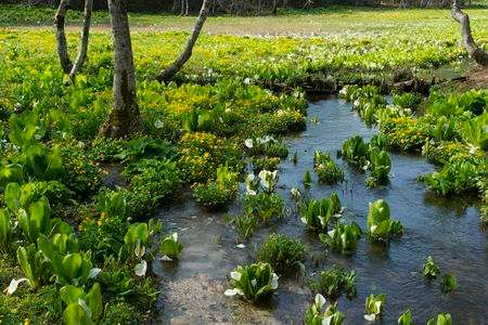 春いろにつつまれて