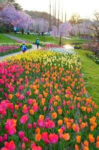 夕景　帰路に就く人々