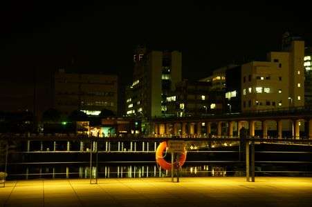 投げ釣りは禁止です