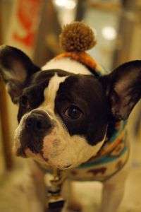 カフェの看板娘