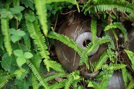 やきもの散歩道