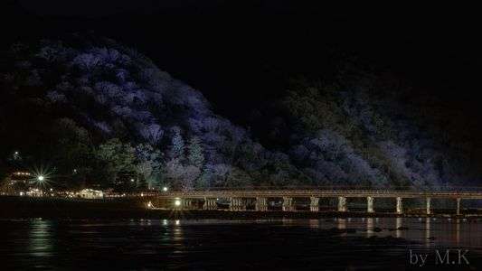 京都 渡月橋