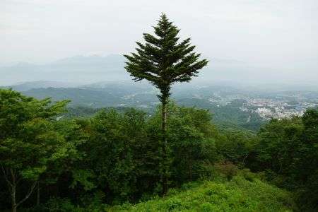 はじめての投稿