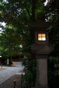 夏の夕暮れ神社