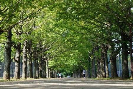 色付く前に・・・