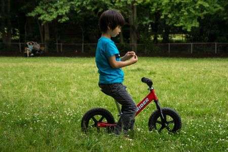 草花の咲く、いつもの公園で。