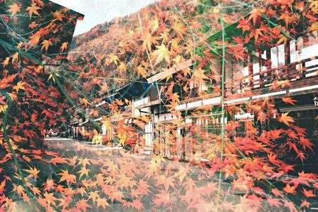 木曾路ドライブ、秋、撮り歩き三景、