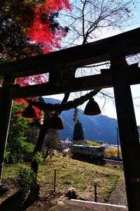 秋の長良川鉄道