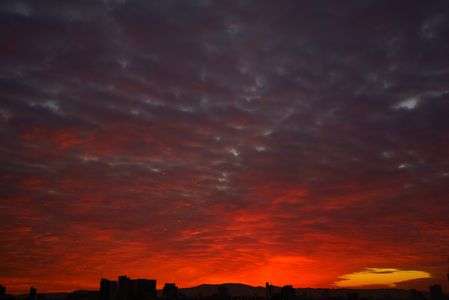 曇りで油断していたら、