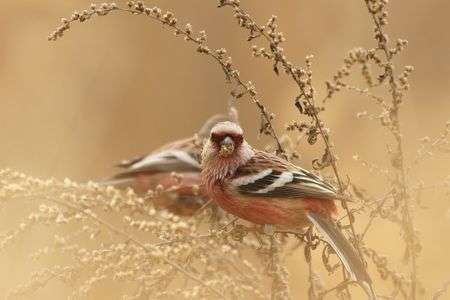 夢中でモグモグ