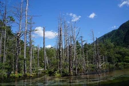 上高知・涸沢１１