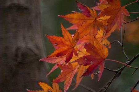 ウクライナに平和を！！