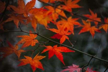ウクライナに平和を！！