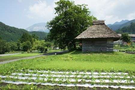 夏の伯耆富士を望む
