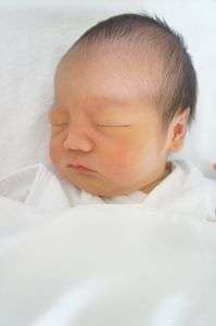 こんにちは人間界