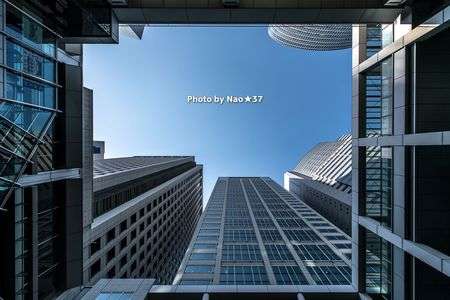 見上げスクエア