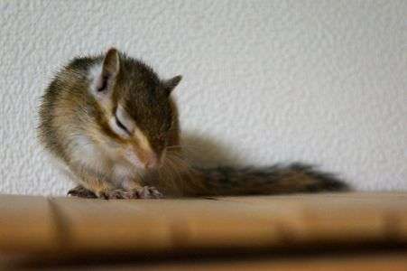 あったかぁ〜い♪