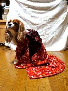 あけましておめでとう♪