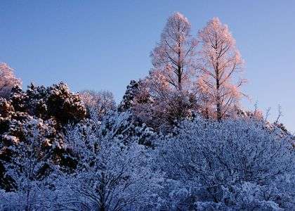 独り占めの瞬間(とき)4