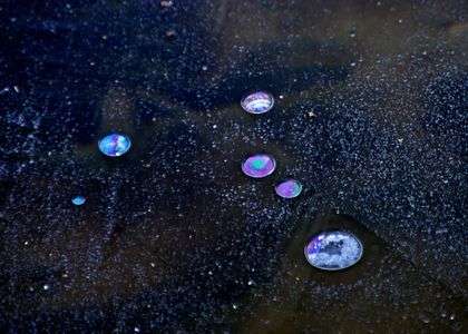 里山の池に小宇宙が出現した様な2