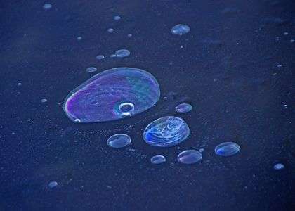 里山の池に小宇宙出現出現たように3