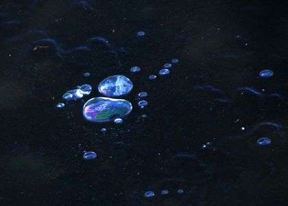 里山の池に小宇宙が出現したように4