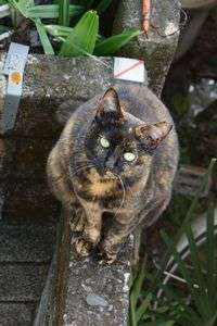 1分前まで寝てました