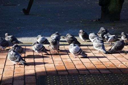 Bitingly cold morning