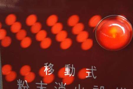 きれいなものがすき