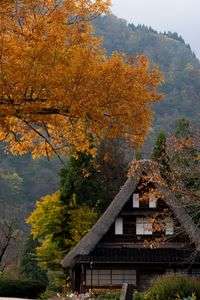 秋も深まってきました