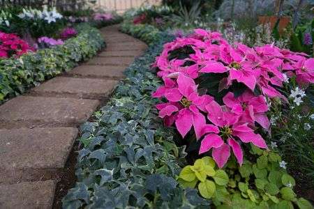 ゆるりとした小路