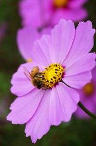 α6000+SELP1650試し撮り