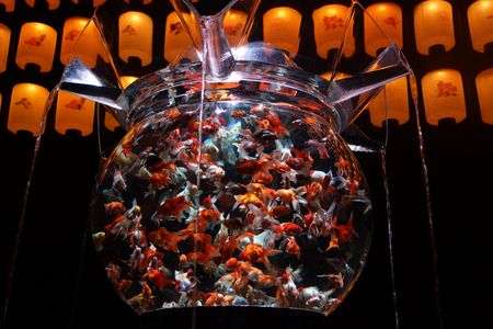 アートアクアリウム展inFUKUOKA