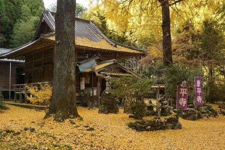 山鹿市康平寺の黄葉