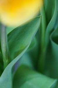 cp+ sonyブースで