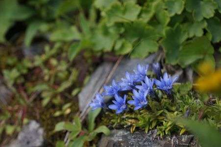 晴れなので開店