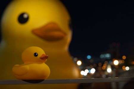 ラバーダックin中之島2012