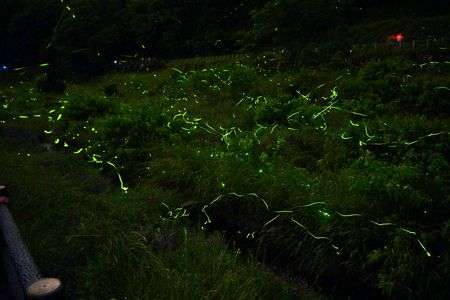 ほたる祭り