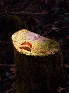 スポットライトに当てられて