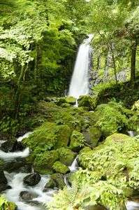 ＊。・waterfall・。＊