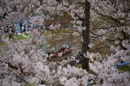 誰もがこの日を待ちわびて。