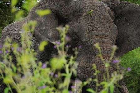 At Tarangire Natioanl Park
