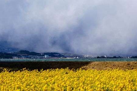 岸辺の春、対岸の冬